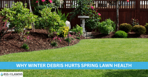 Why Winter Debris Hurts Spring Lawn Health