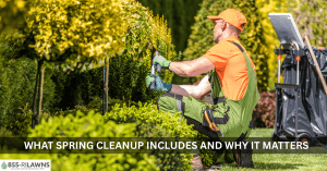 What-Spring-Cleanup-Includes-and-Why-It-Matters