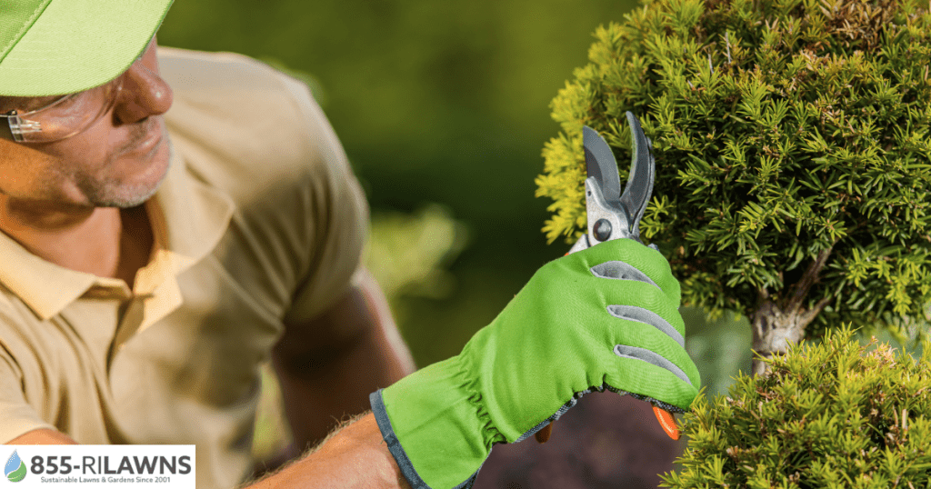 Early-Cleanup-vs-Late-Cleanup-Pros-and-Cons