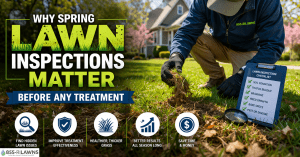 Why-Spring-Lawn-Inspections-Matter-Before-Any-Treatment