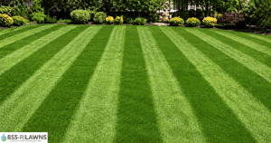 how-mowing-patterns-affect-lawn-growth-and-appearance