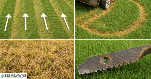 how-mowing-patterns-affect-lawn-growth-and-appearance