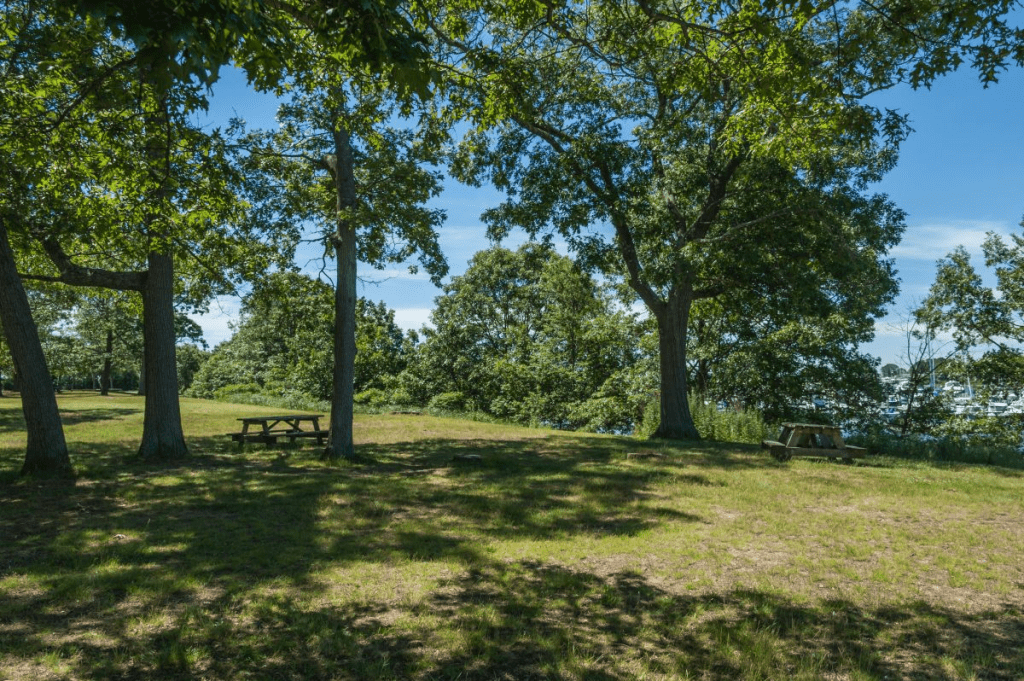 Barrington Lawn and Landscape Service