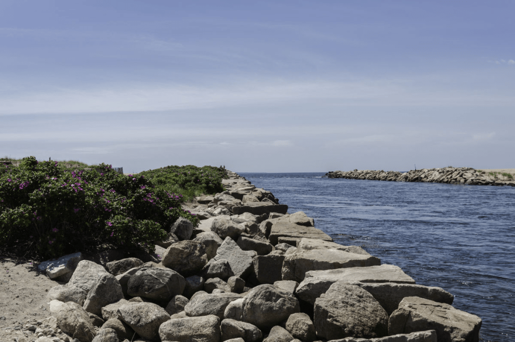 Charlestown Lawn and Landscape Services