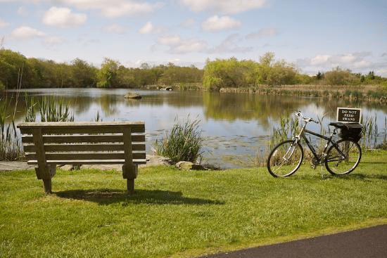 Barrington Lawn and Landscape Service