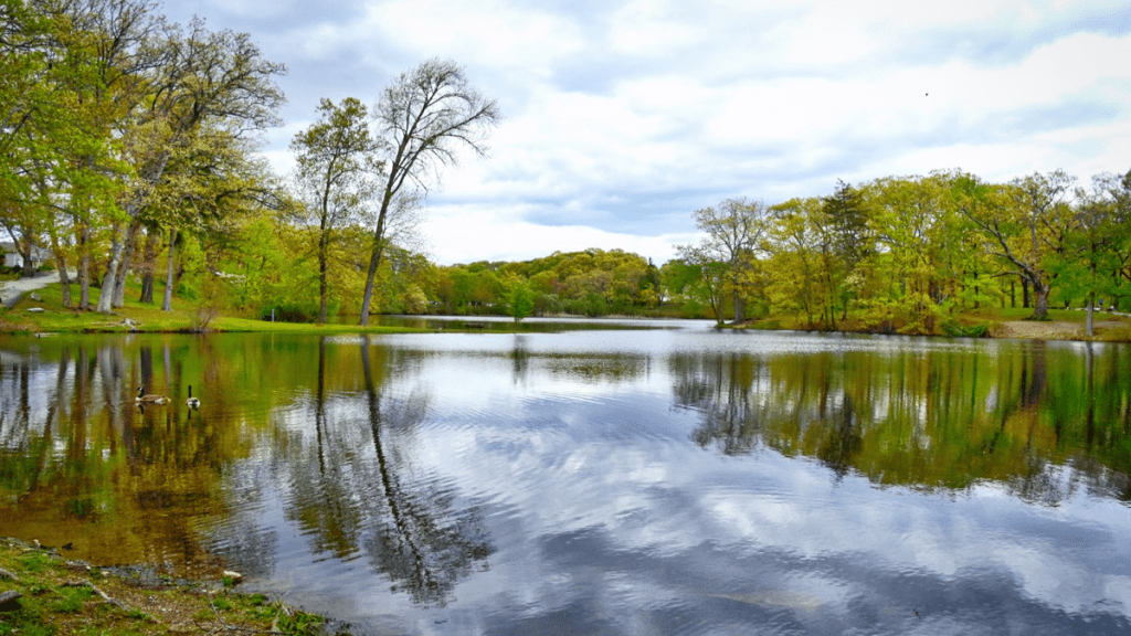 Cranston-Lawn-and-Landscape-Services