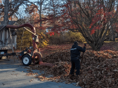 IMG_20231120_192500 Fall Cleanup