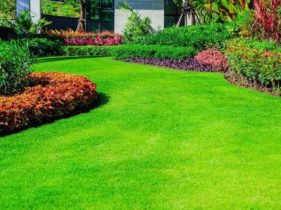 best-lawn-fertilizers-for-your-yard-section-3-A Sustainable, eco-friendly lawn fertilization program