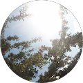 M J Avatar