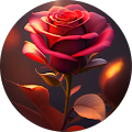 Amanda Avatar